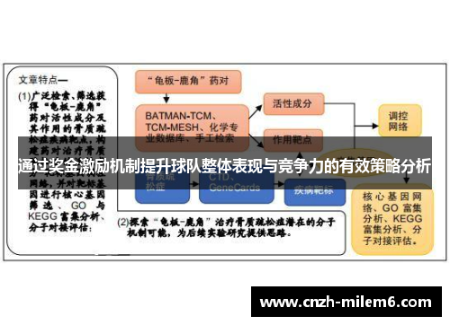 通过奖金激励机制提升球队整体表现与竞争力的有效策略分析