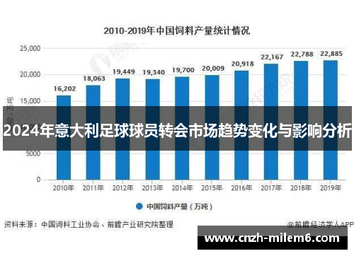 2024年意大利足球球员转会市场趋势变化与影响分析
