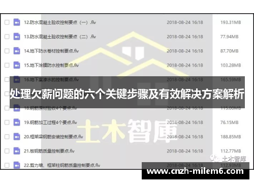 处理欠薪问题的六个关键步骤及有效解决方案解析