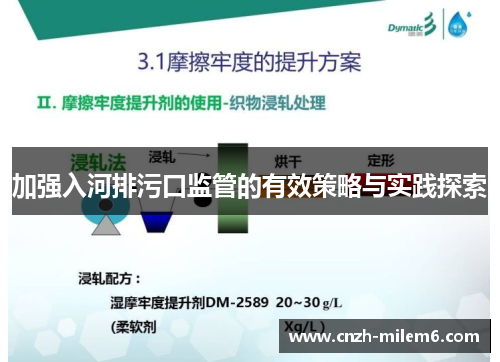 加强入河排污口监管的有效策略与实践探索 加强入河排污口监管的有效策略与实践探索