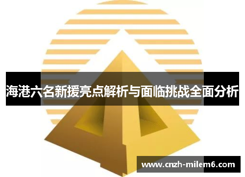 海港六名新援亮点解析与面临挑战全面分析
