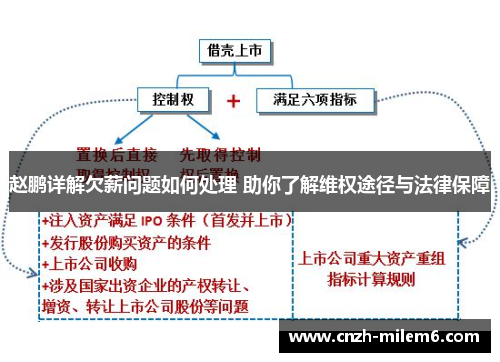 赵鹏详解欠薪问题如何处理 助你了解维权途径与法律保障 赵鹏详解欠薪问题如何处理 助你了解维权途径与法律保障