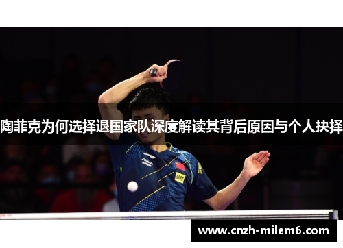 陶菲克为何选择退国家队深度解读其背后原因与个人抉择 陶菲克为何选择退国家队深度解读其背后原因与个人抉择