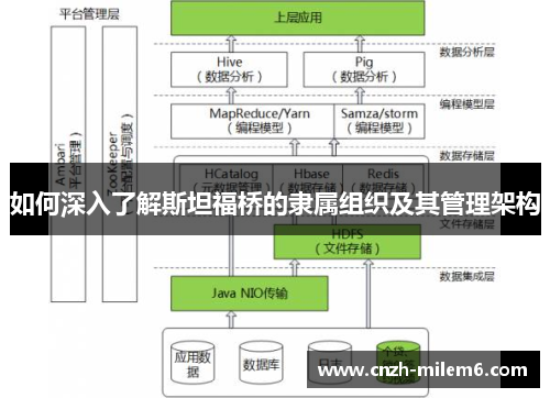 如何深入了解斯坦福桥的隶属组织及其管理架构